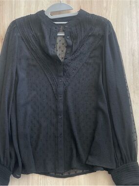Zara Black Semi-Sheer Swiss Dot Button Blouse